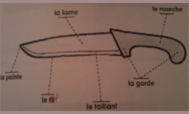 différentes parties du couteau